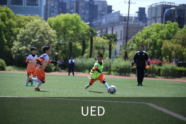 UED公司简介